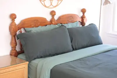 Image de The Blue Cottage: charming 3-bedroom house in Lubbock, family-friendly