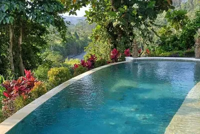 Image de The green Sidemen