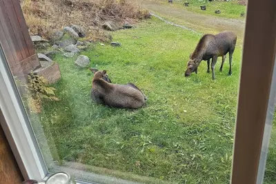 Image de Quiet 3 bedroom house/cabin. 2 miles off Glenn hwn on Fish Lake Rd.