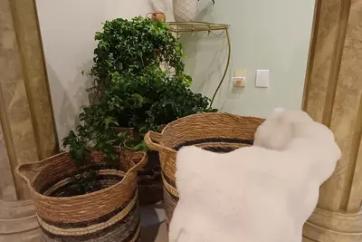 Image de Cozy 3-bedroom house in downtown Pomerode - Guesthouse - Accommodation