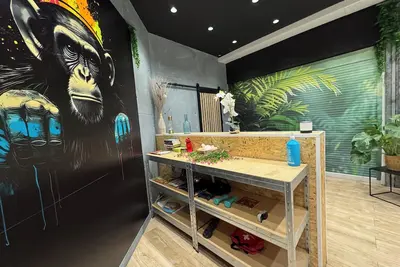 Image de Studio «Jungle»*ptit déj *vidéo projecteur*Wifi