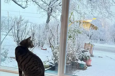 Image de Welcoming house with Ac in charming Tehachapi