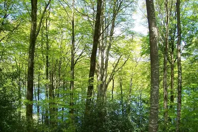 Image de Les gîtes de la Planette - gîte 6