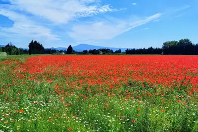 Image de Maison à la campagne avec piscine privée à coté du Mont Ventoux
