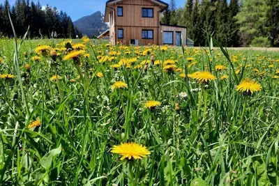 Image de Hus 154 - Holiday home, shower or bath, Wc, 3 bedrooms