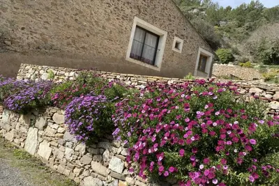 Image de La cave d'Arthur - Roquebrun