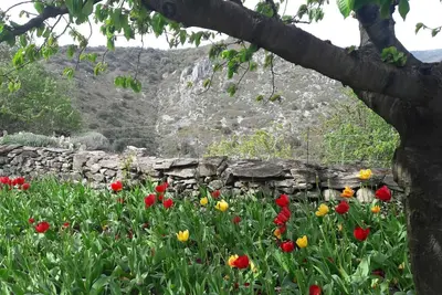 Image de Le Gîte Fleuri - Limousis