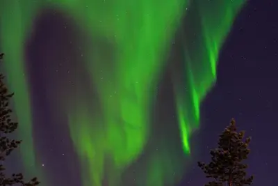 Image de Scandinavian Villa with Private Sauna