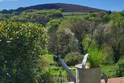 Image de La Maison Du Chataignier