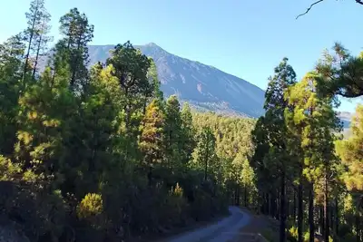 Image de Icod - Chc - Casa Socas