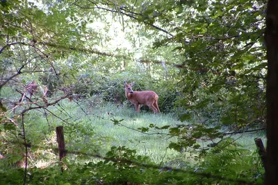 Image de Villa \"Cora Venez\" Neuve 4 Etoiles Avec  Spa