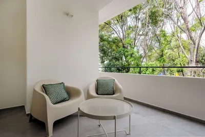 Image de Chihuahua 230 by Wynwood House