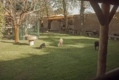 Image de Quinta Verde Esperança - Casa do Sobreiro