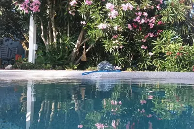 Vacances de rêve