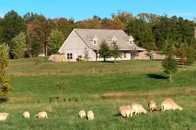 Image de Charming modern farmhouse - four miles from Wsrc