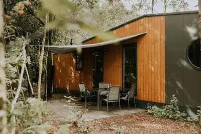 Image de Charmant Bee Lodge pour 5 personnes dans les bois.