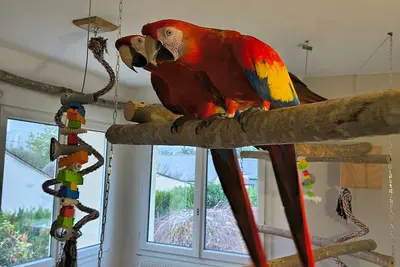 Image de Gîte chaleureux pour 4 pers avec piscine chauffée et bien-être