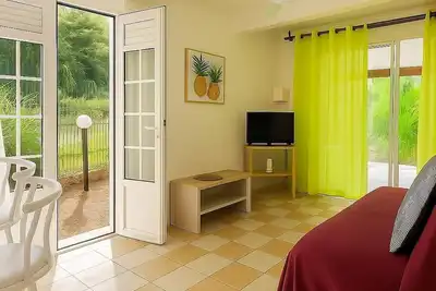 Image de T2 tropical avec terrasse et jardin