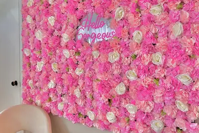 Image de Pink House