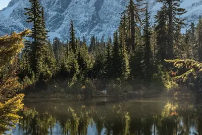 Downtown Maple Falls Lodge