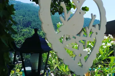 Image de Tea House Hipericão Gerês