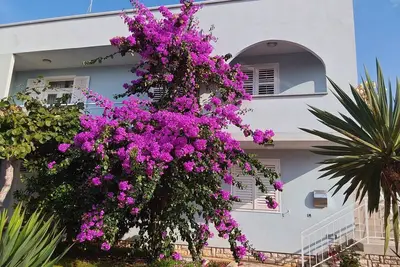 Image de Vacation apartment Aldo Ii - Modern feel-good apartment in a quiet location in Poreč