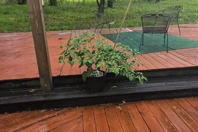 Image de Charming 3-bedroom farmhouse with Ac, fitness room in delightful Century