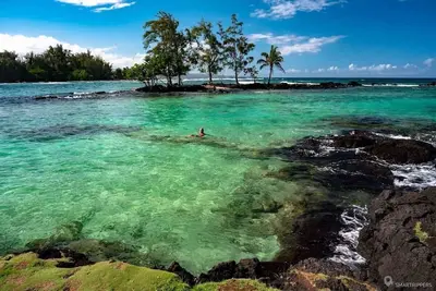 Image de Oceanfront, Friendly Sea Turtles, Epic Snorkeling!