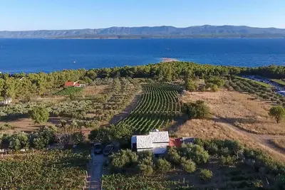 Image de Beautiful home in Bol