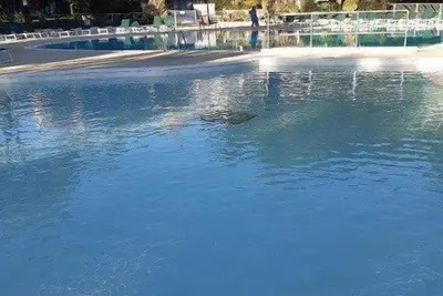 Les Palombes 1 - 134