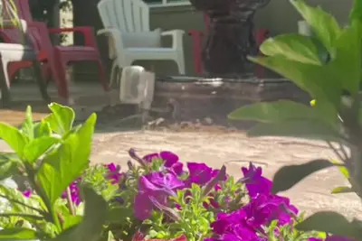 Image de Peaceful Paradise a 3-bedroom 2 bath condo ~ N Phoenix/Scottsdale
