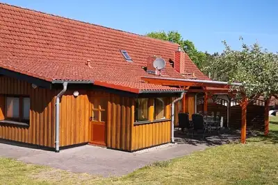 Image de Au paddock des chevaux