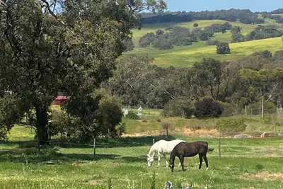 Image de Relax & chill in a spa at Katandra Cottage, just a short drive from the city.