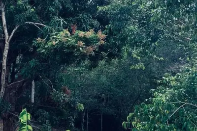 Image de Chalé Pico Alto