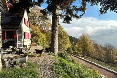 Image de Calme et authenticité au coeur des Vosges