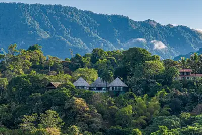 Authentic Jungle & Ocean Escape by Pura Villas