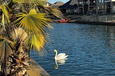 Image de Luxury Lakefront 4br : Family & Corporate Friendly