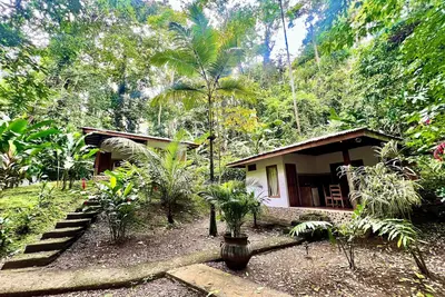 Image de Bungalow 2, votre havre de paix dans la jungle!