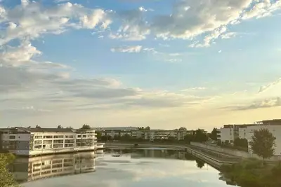 Image de Les roseaux bleus