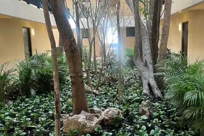 Image de Tulum - Apartment with jungle view terrace and private pool.