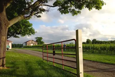 Image de Vineyard Manor House at Freedom Run Winery