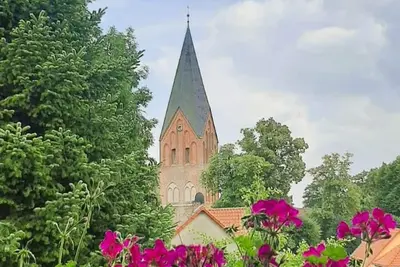 Image de Fw Landperle Id162278 - Fw Landperle Id16227