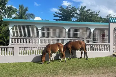 Image de 3-bedroom house in Vieques on quiet street with Ac & short walk to beach