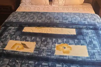 Image de Cozy 1-bedroom apartment in beautiful Marrakech with Ac and gym