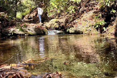 Image de ¶ CreekSide Guest House ¶ Near to Asheville