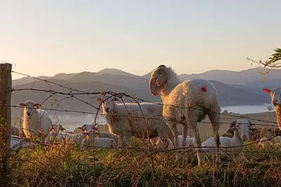 Image de Gîte avec piscine et vue sur les montagnes près de Saint-Jean-Pied-de-Port