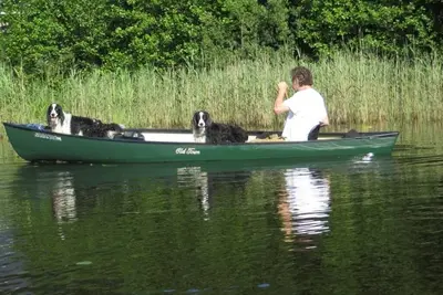 Image de Cabin with Canoe Lake Åsnen National Park Fast Wifi ÄLGHAGEN 3Bedrooms Pets Ok