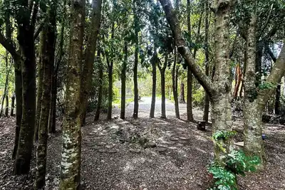 Image de House surrounded by nature, close to many minimarket and restaurants.