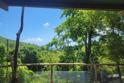 Image de cabane perchée dans la forêt