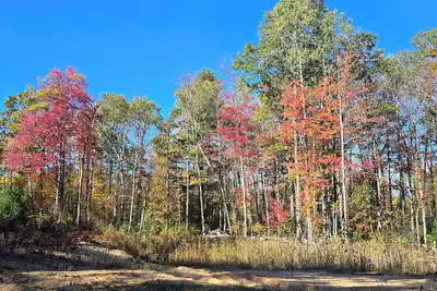 Image de Serenity Woods Spa Retreat w/Game Room and Hot Tub
